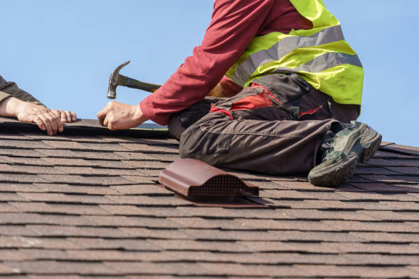 Best Metal Roofing Contractor  in Spring Hill, KS