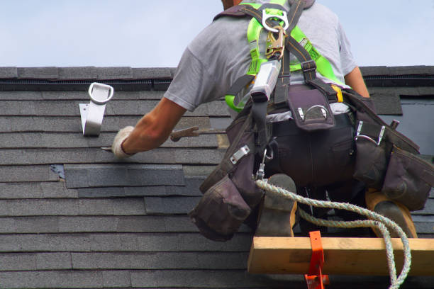 Best Roof Gutter Cleaning  in Spring Hill, KS